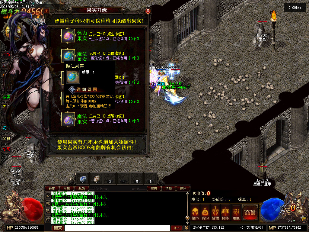 Images41.BMP