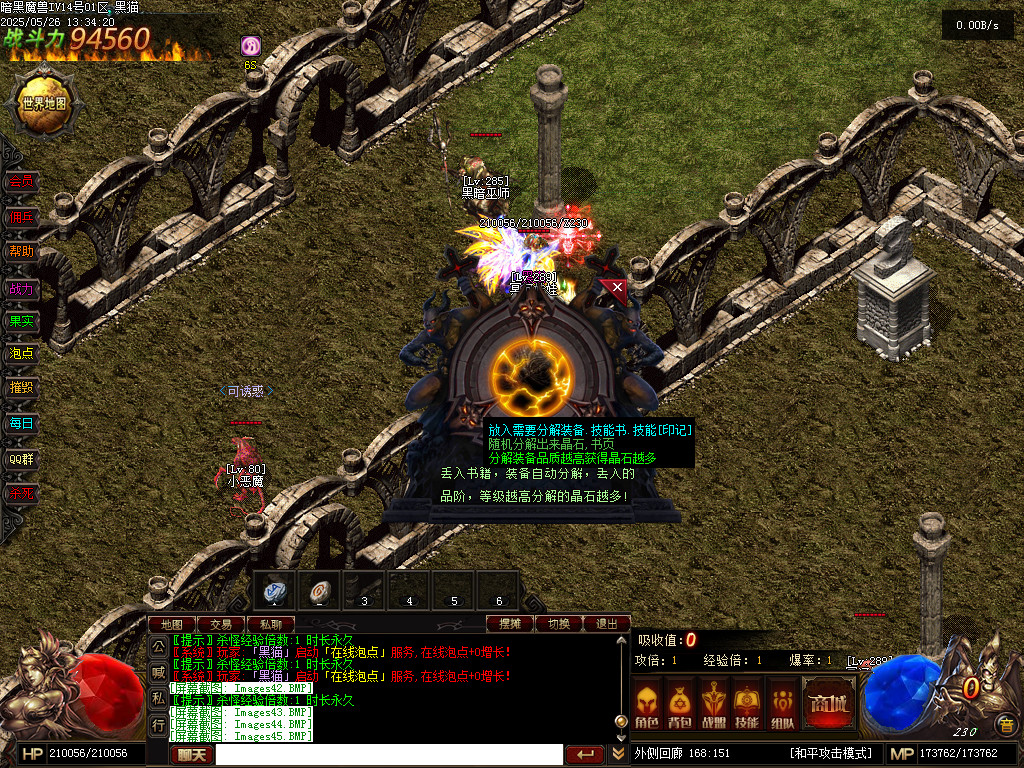 Images46.BMP