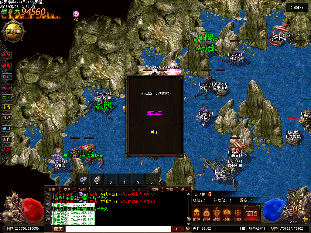 Images47.BMP