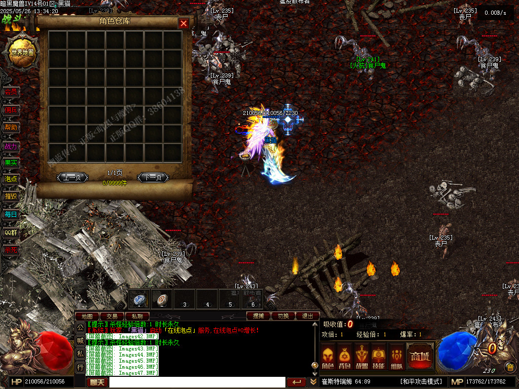 Images48.BMP