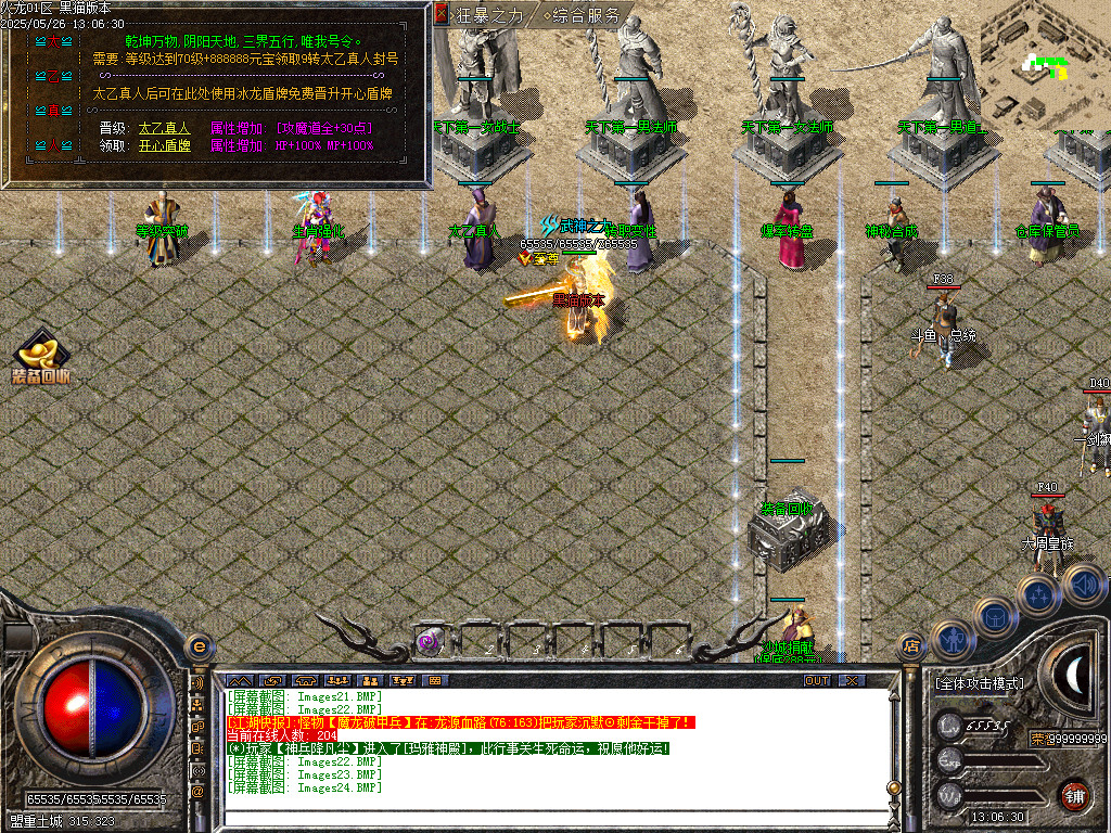 Images25.BMP