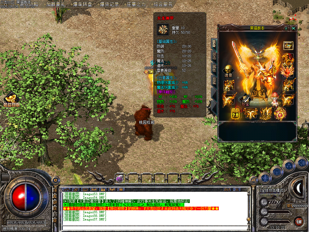 Images58.BMP