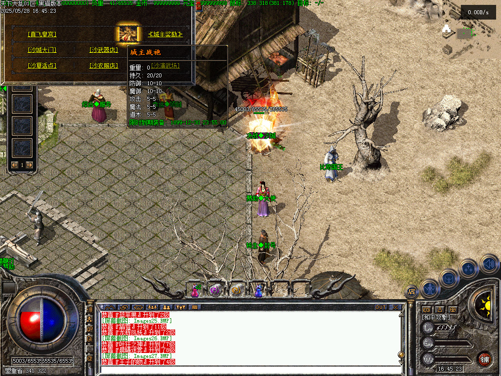 Images28.BMP