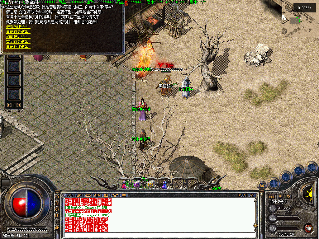 Images29.BMP