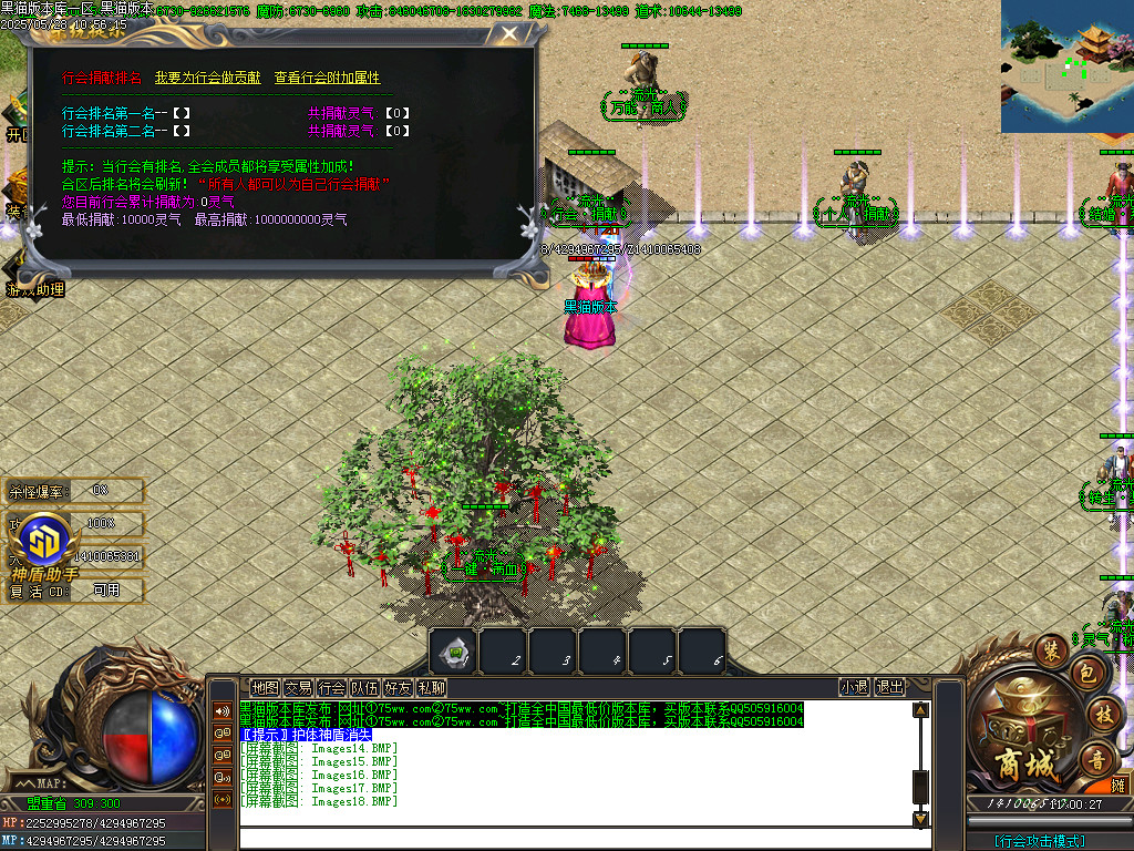 Images19.BMP
