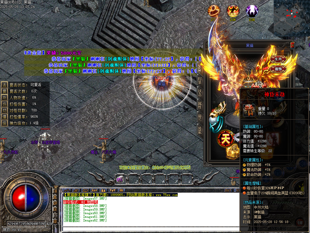 Images63.BMP