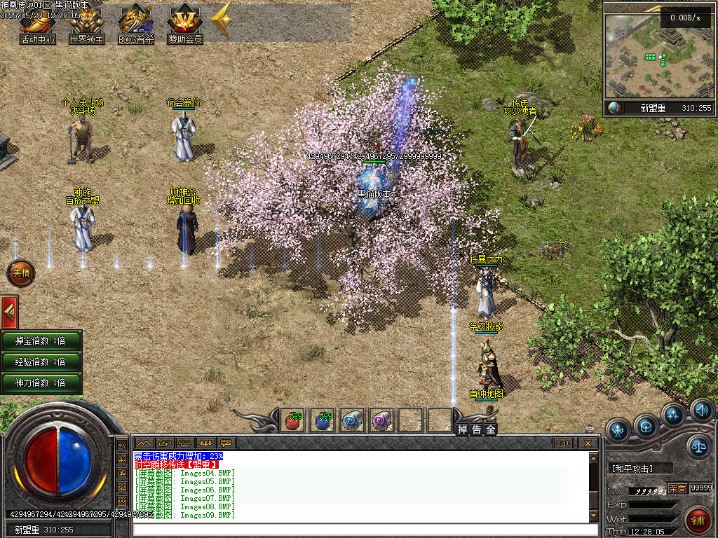 Images10.BMP