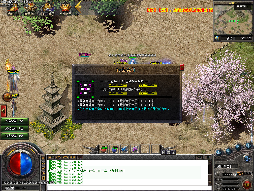 Images55.BMP