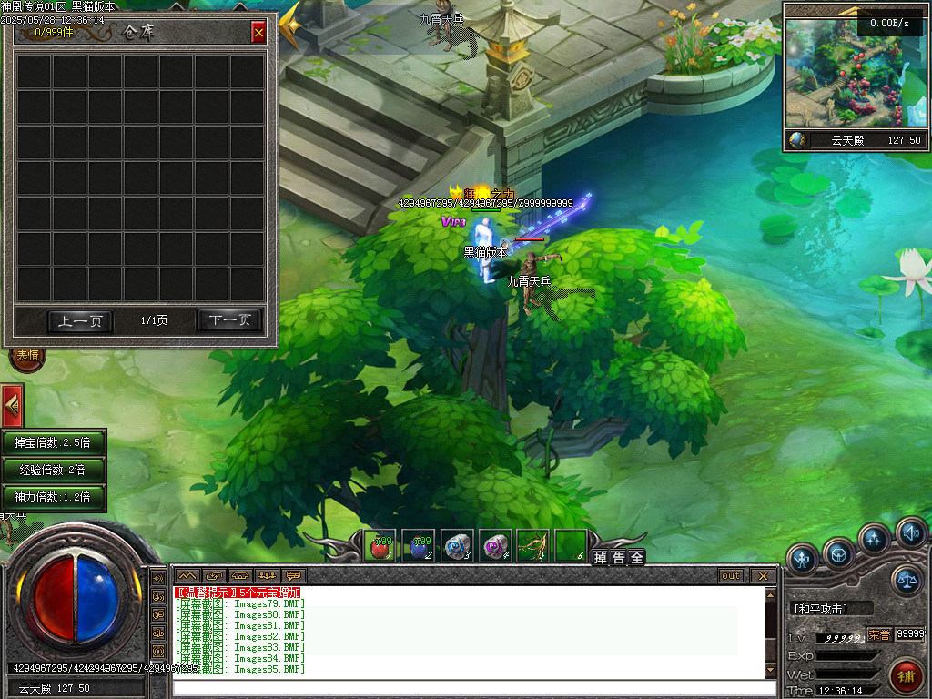 Images86.BMP