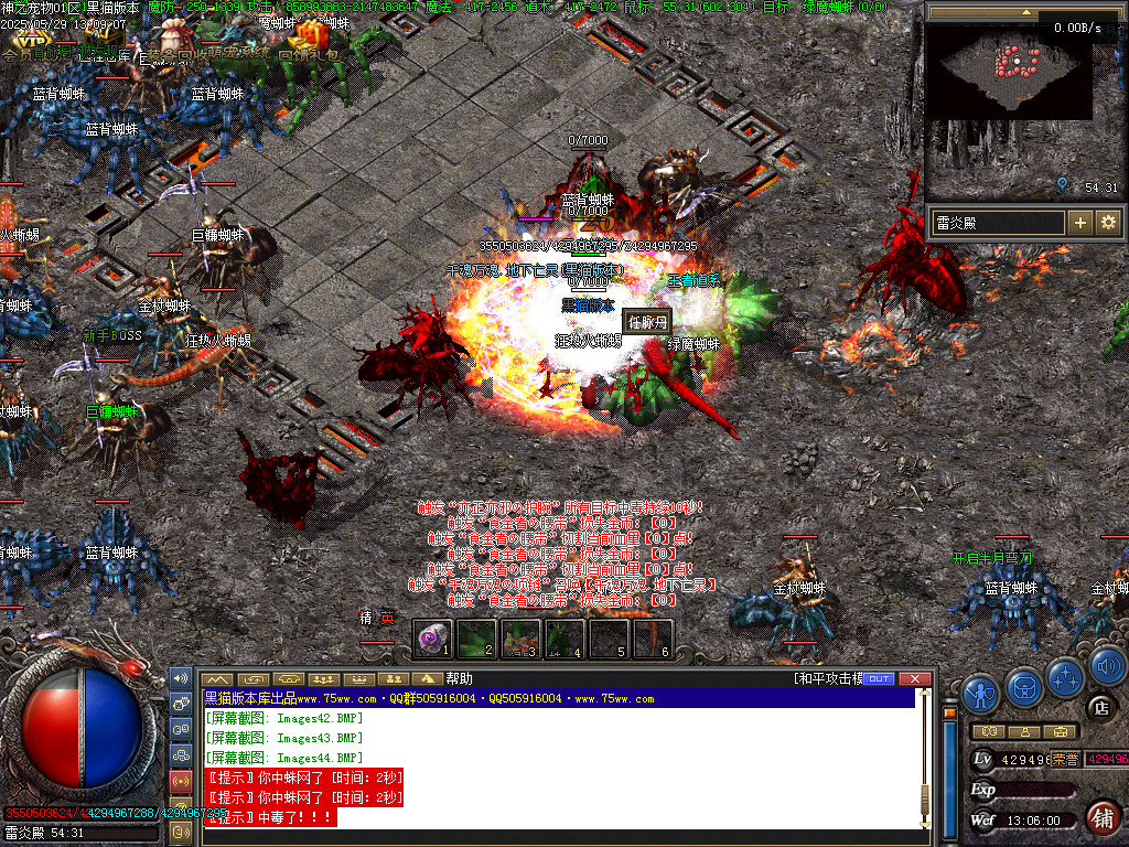 Images45.BMP