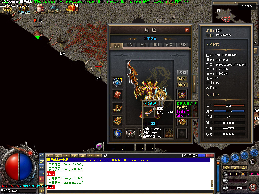 Images63.BMP