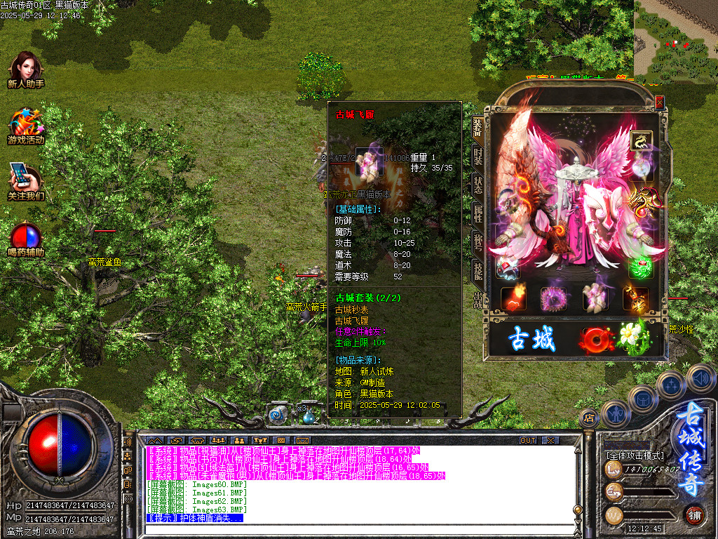 Images65.BMP