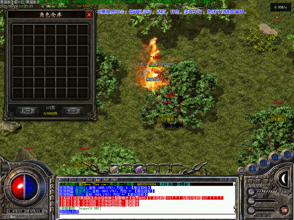 Images40.BMP