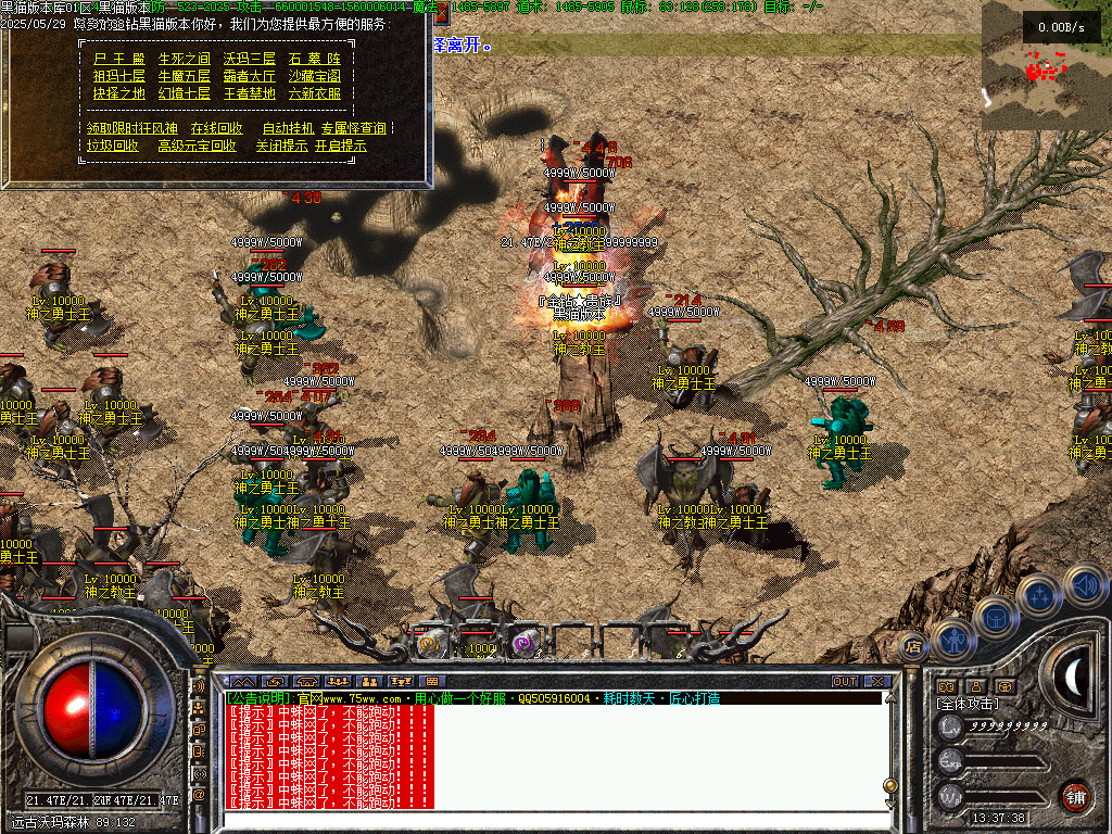 Images41.BMP