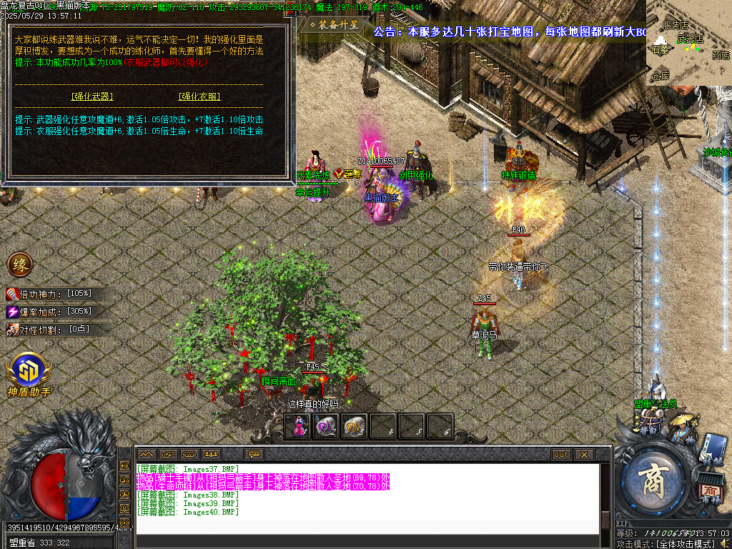 Images41.BMP