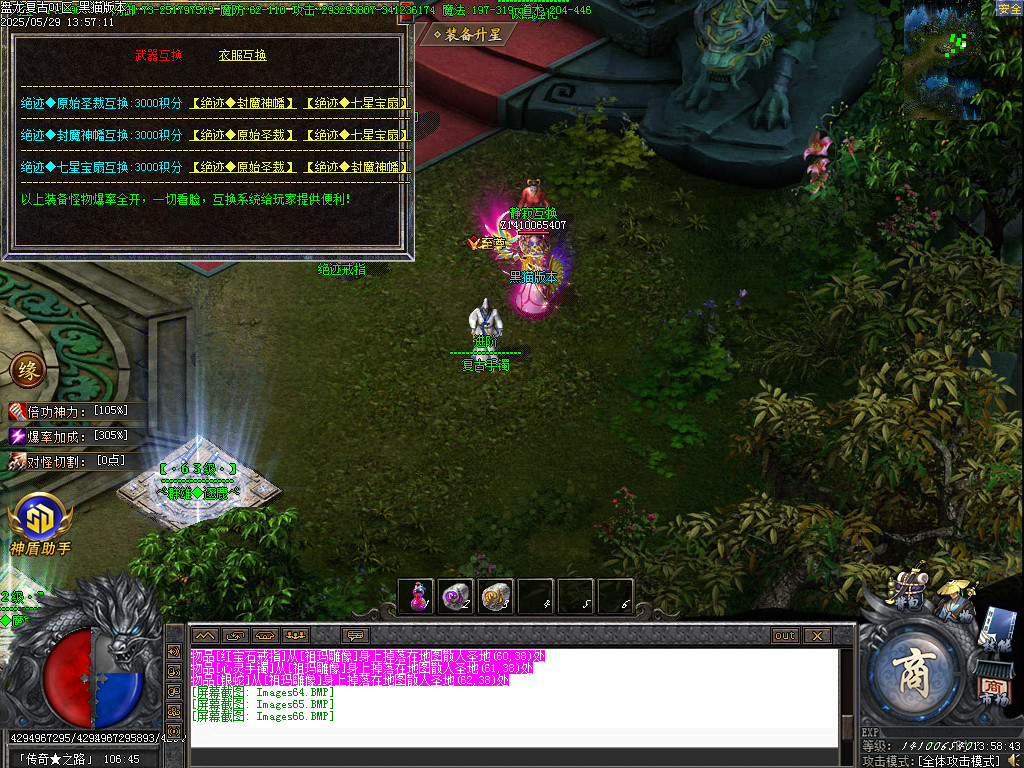 Images67.BMP