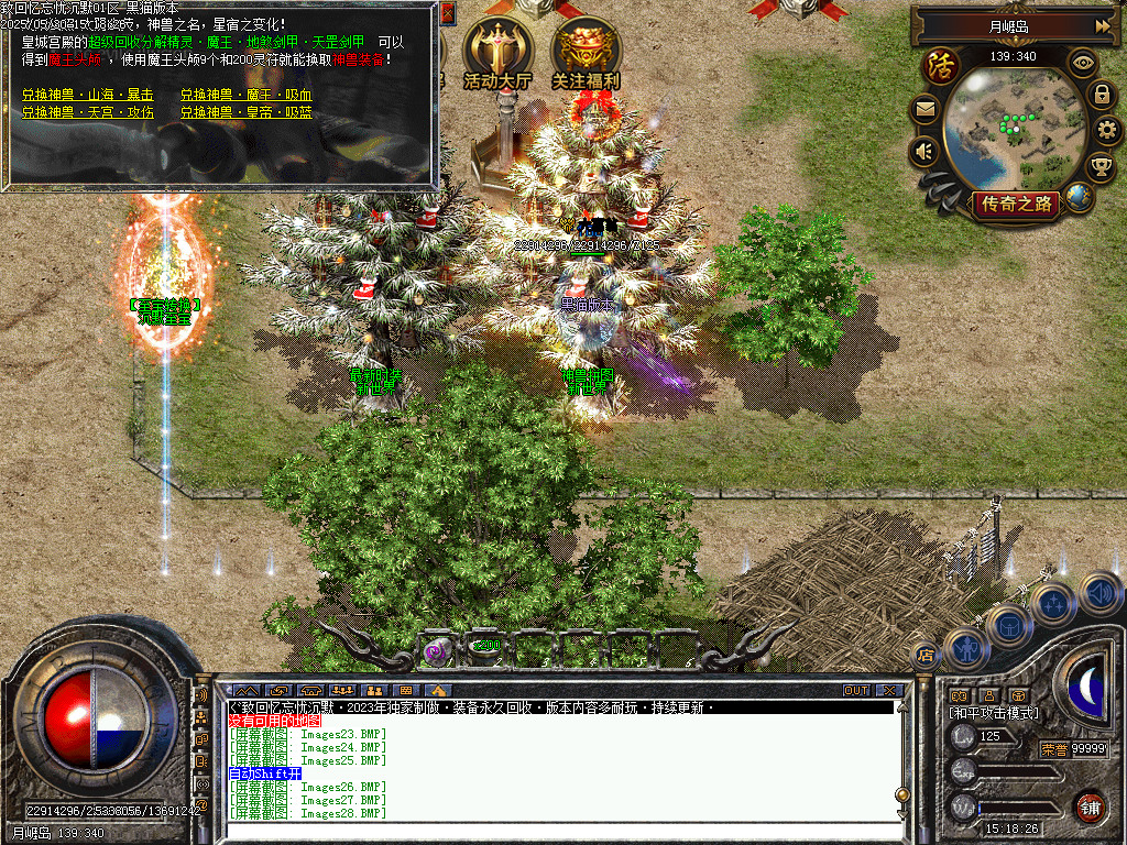 Images29.BMP