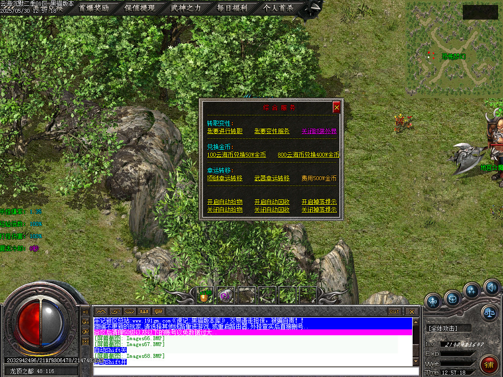 Images69.BMP