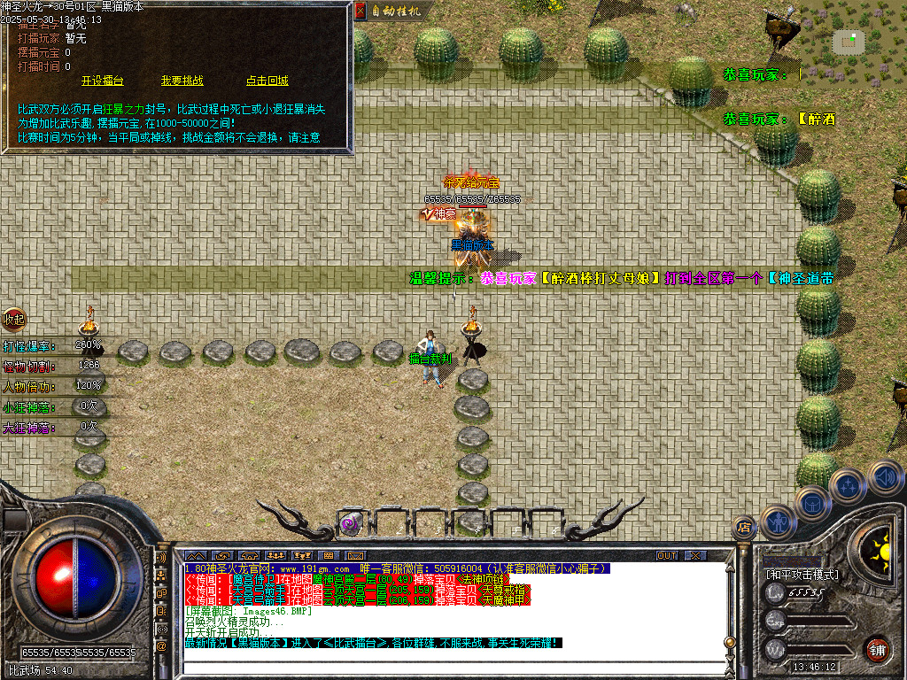 Images47.BMP
