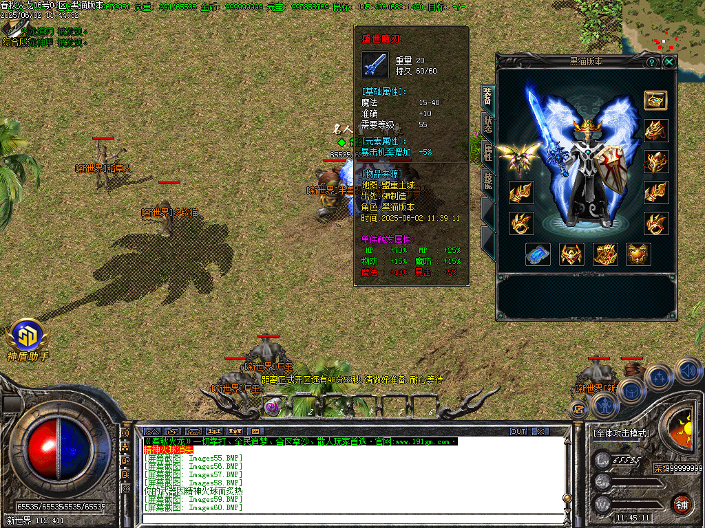 Images61.BMP