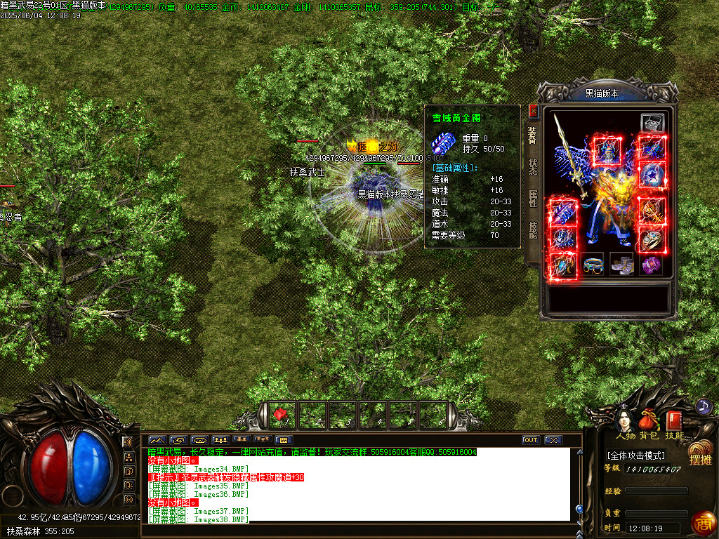 Images39.BMP