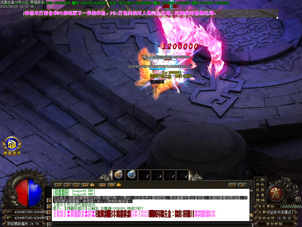Images46.BMP