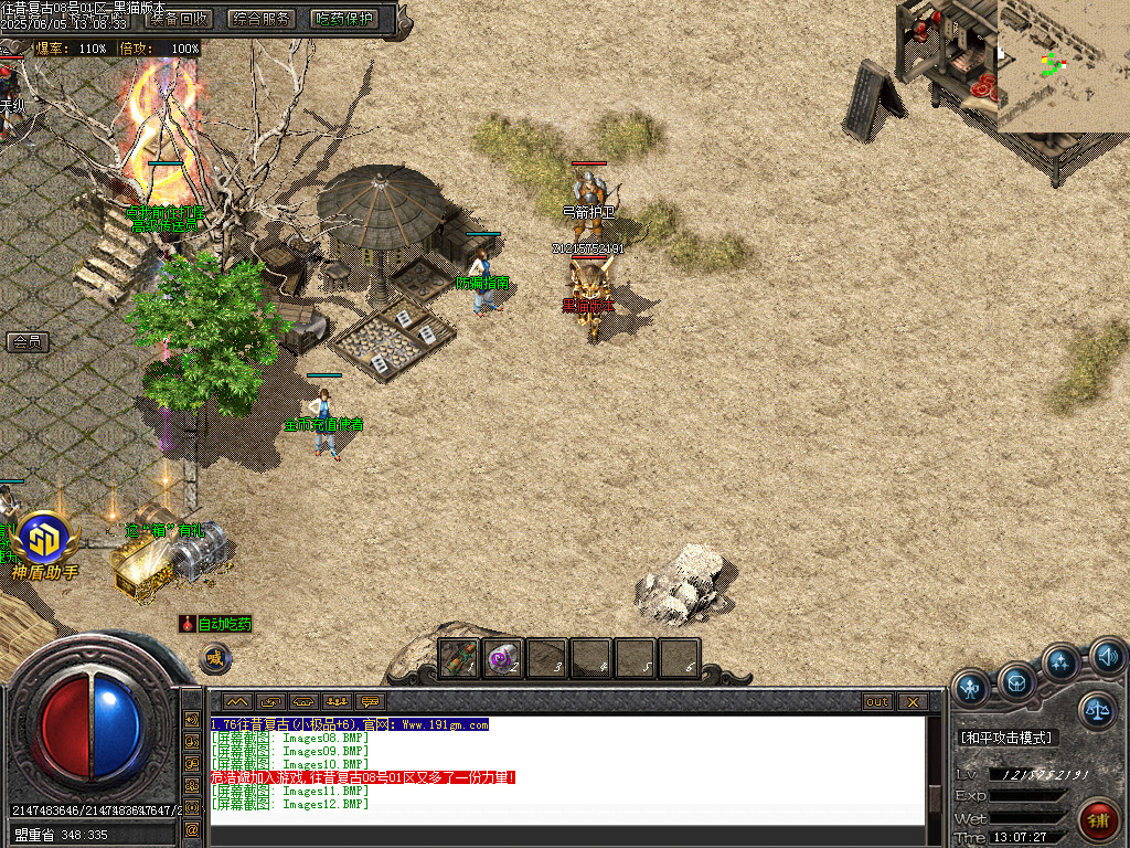 Images13.BMP