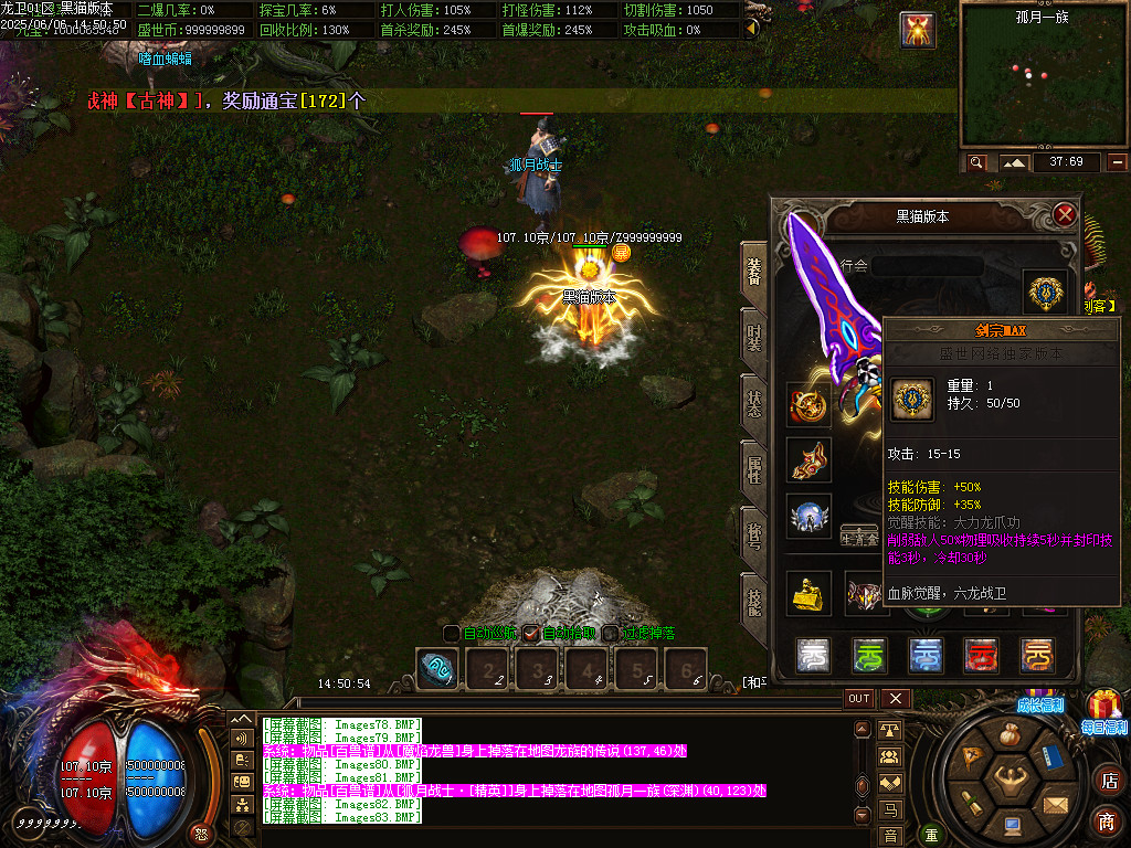 Images84.BMP