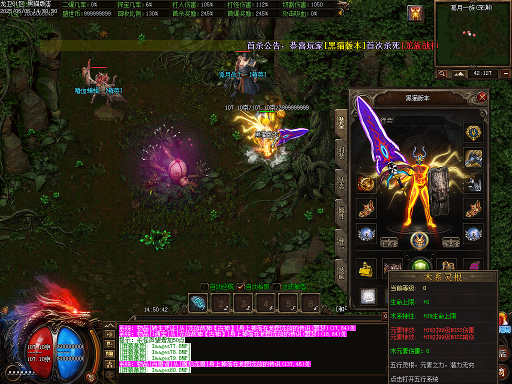 Images81.BMP