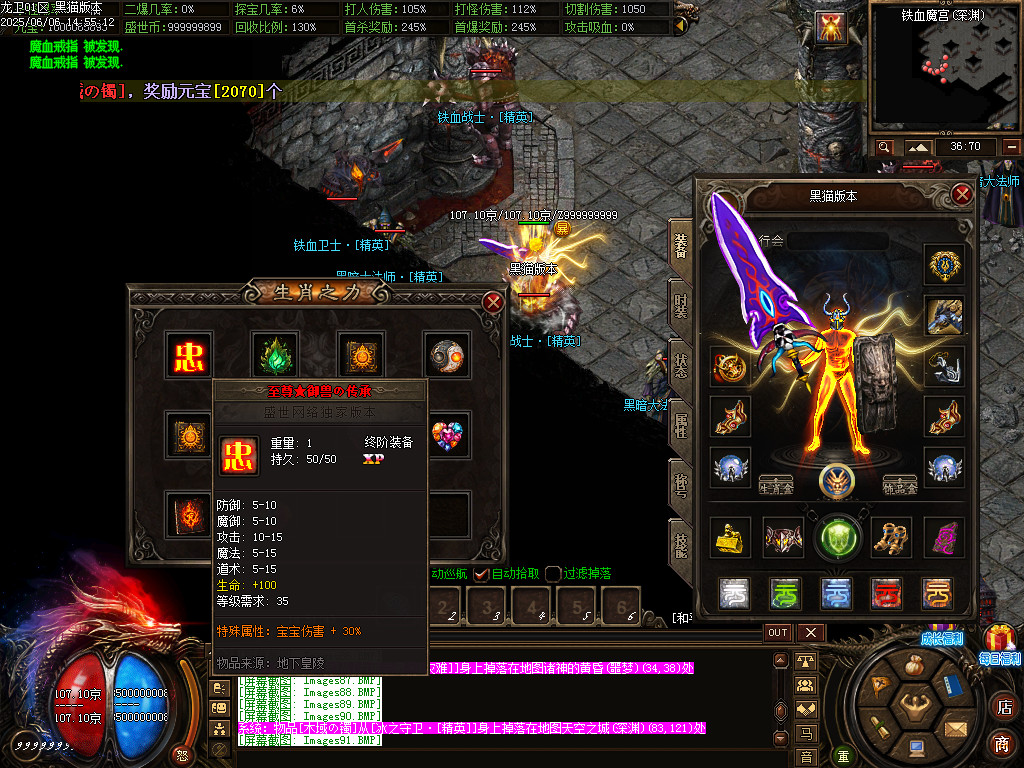 Images93.BMP