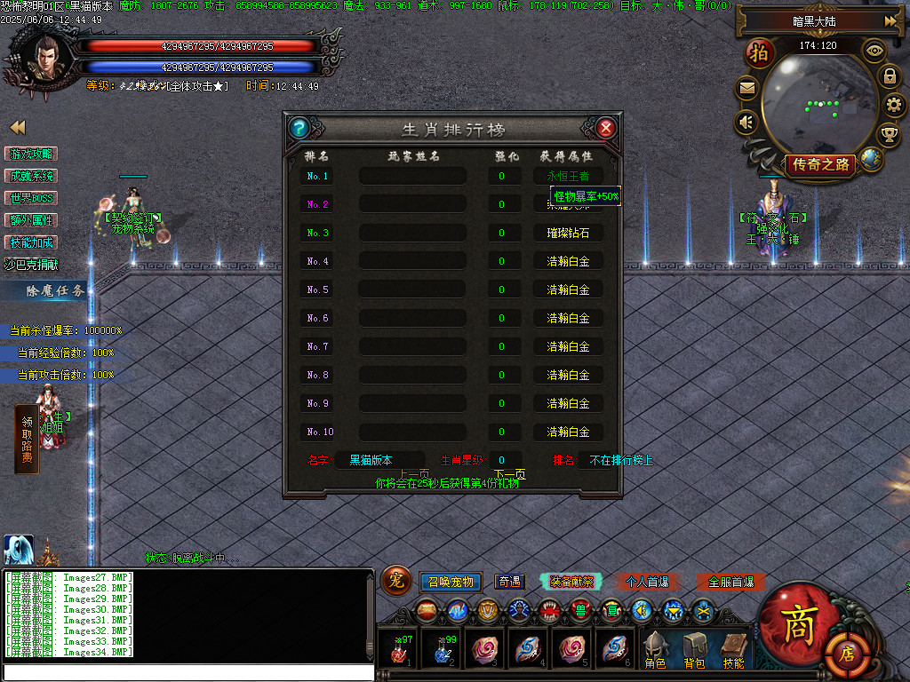 Images35.BMP