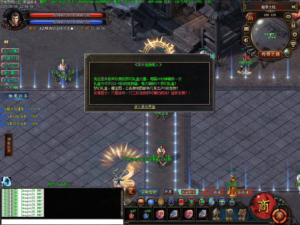 Images38.BMP