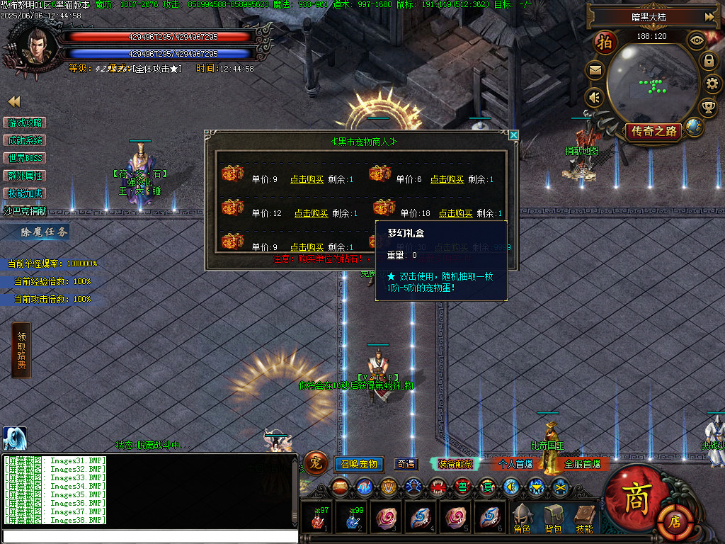 Images39.BMP