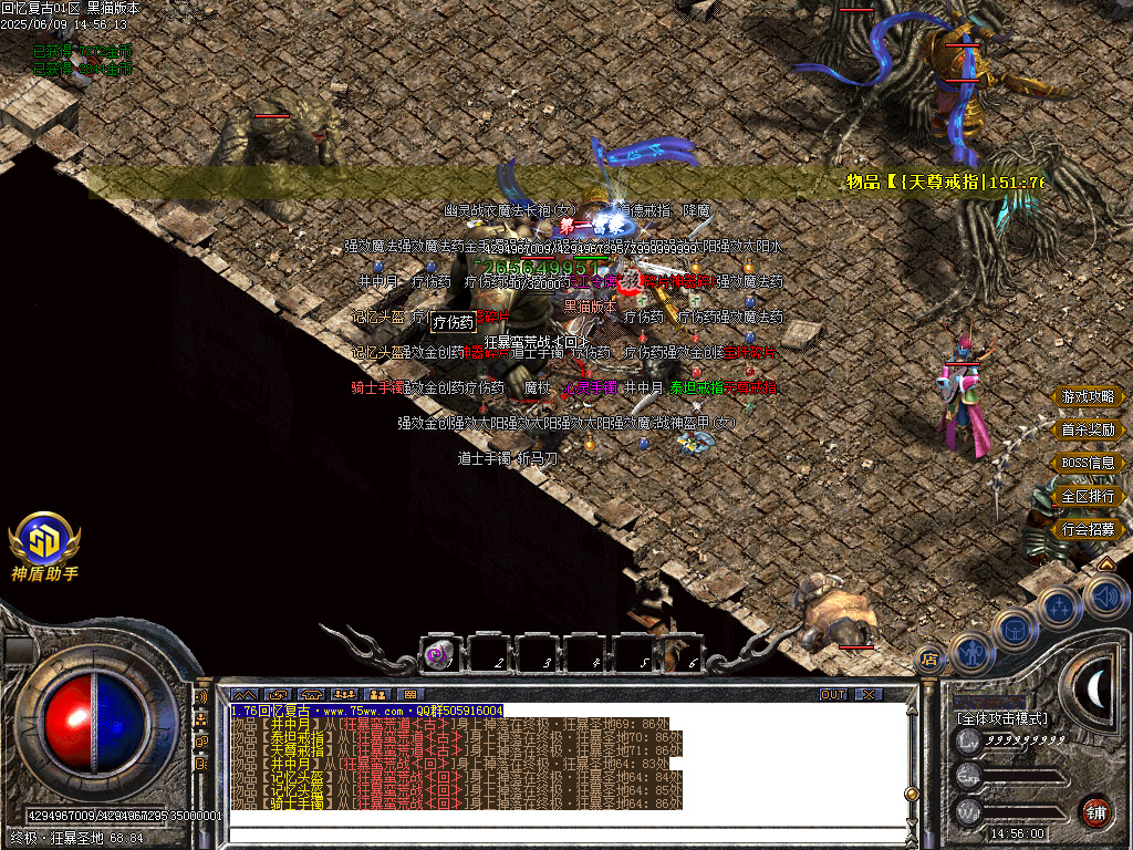 Images63.BMP