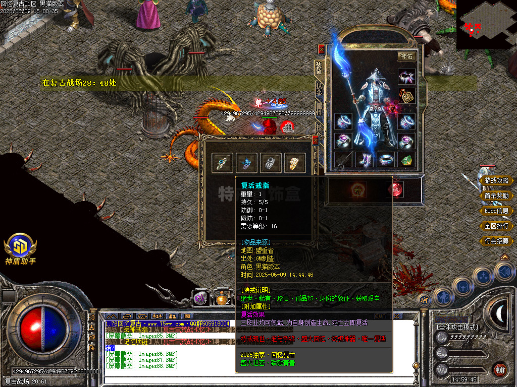 Images89.BMP
