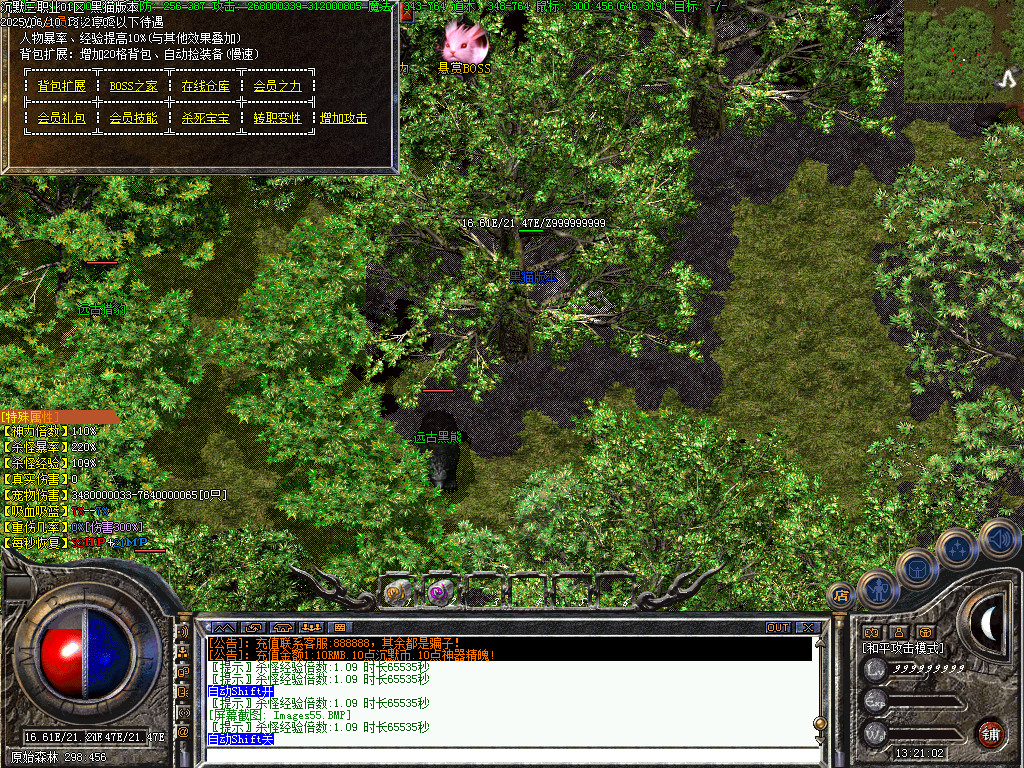 Images56.BMP
