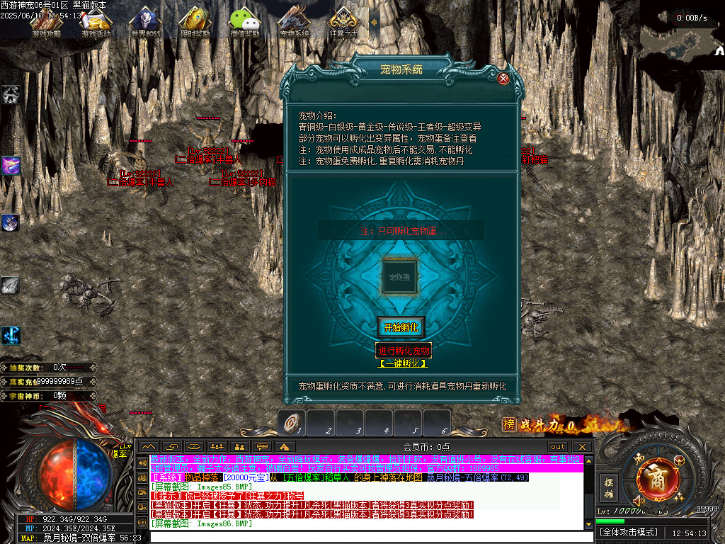 Images87.BMP