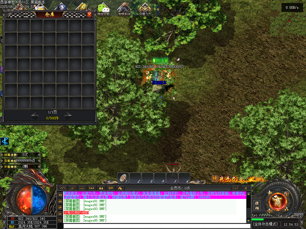 Images96.BMP