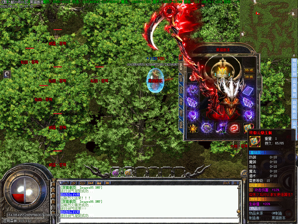 Images87.BMP