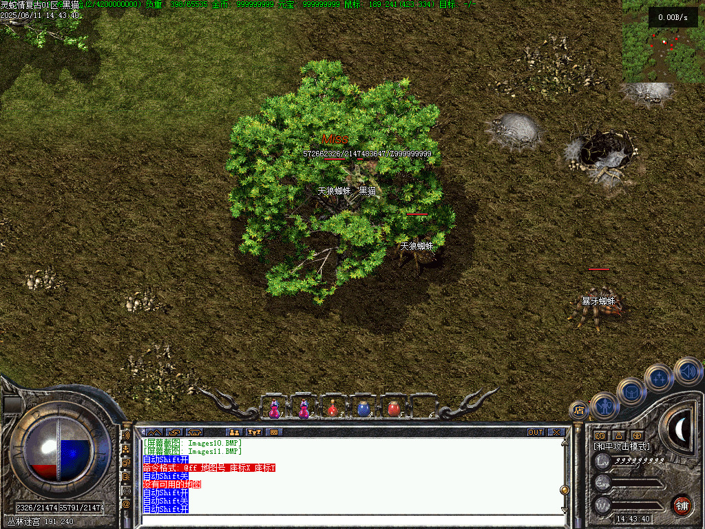 Images12.BMP