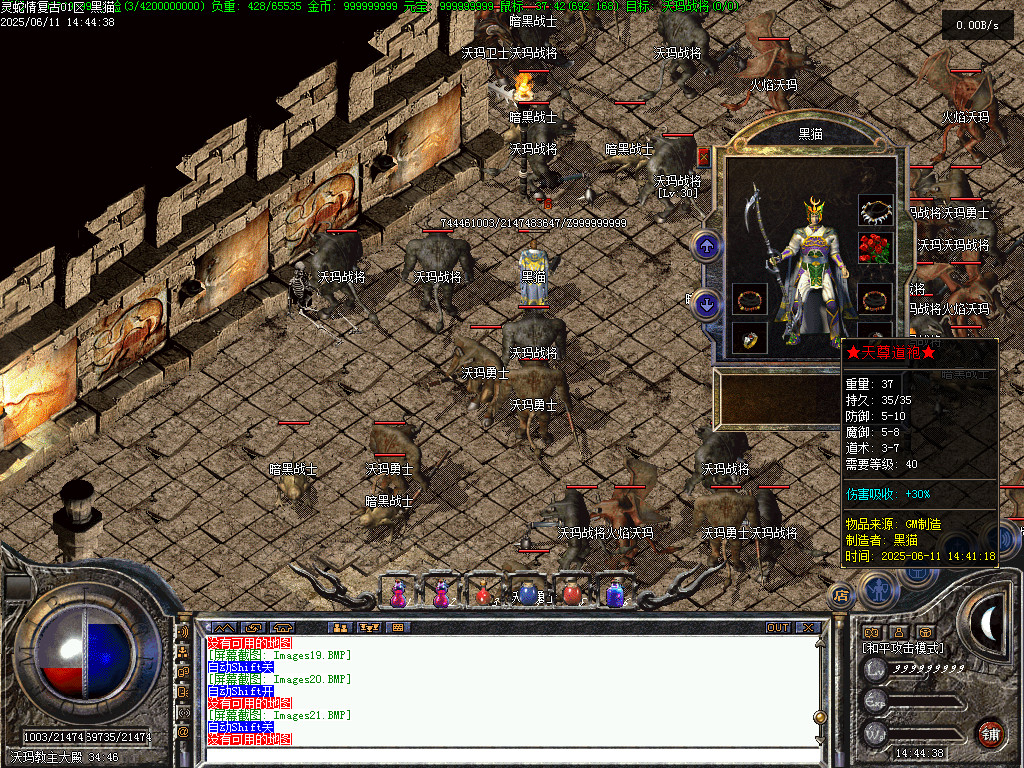 Images22.BMP