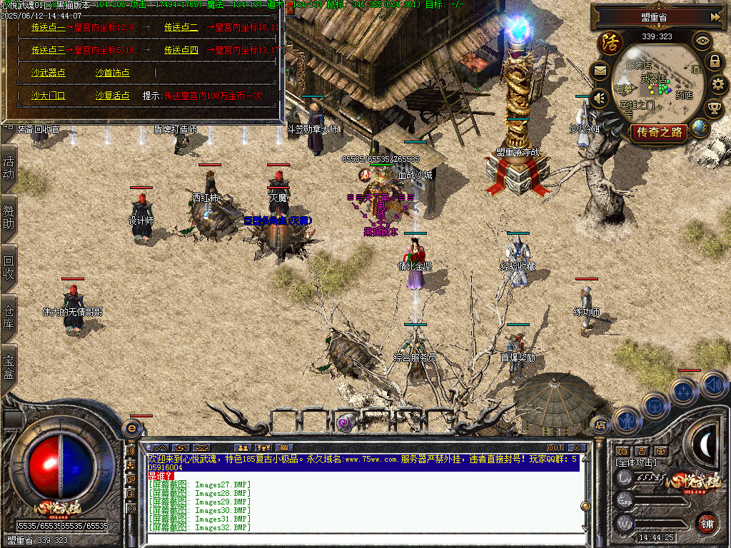 Images33.BMP