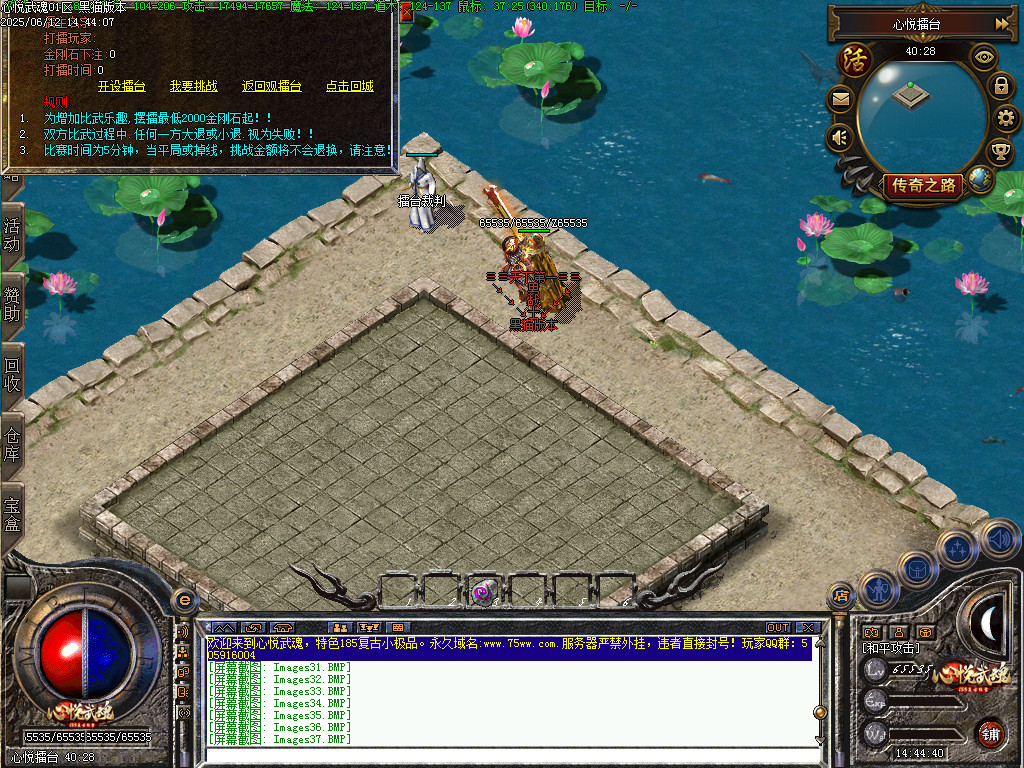 Images38.BMP