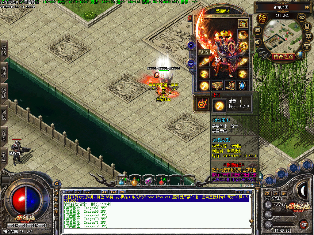 Images73.BMP