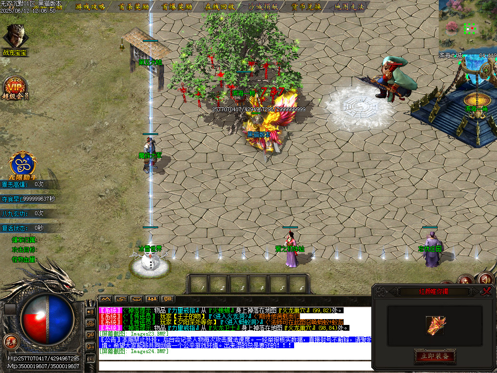 Images25.BMP