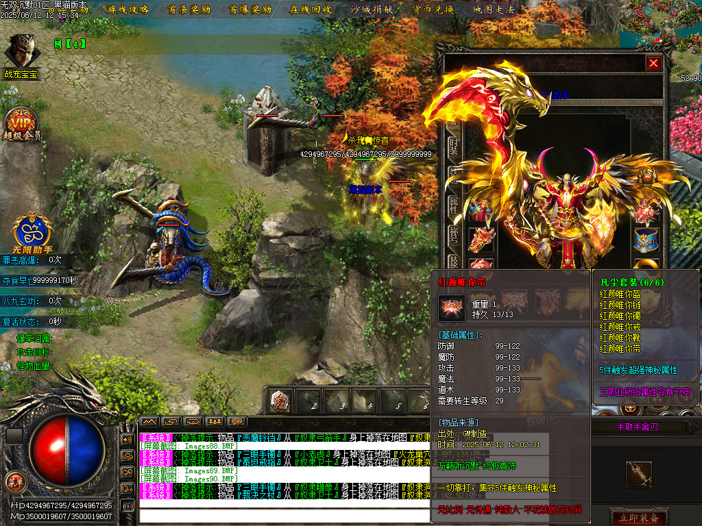 Images91.BMP