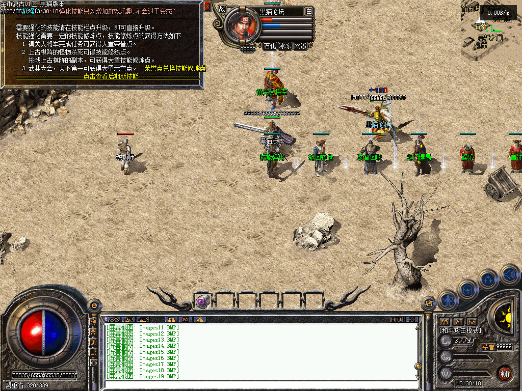Images20.BMP