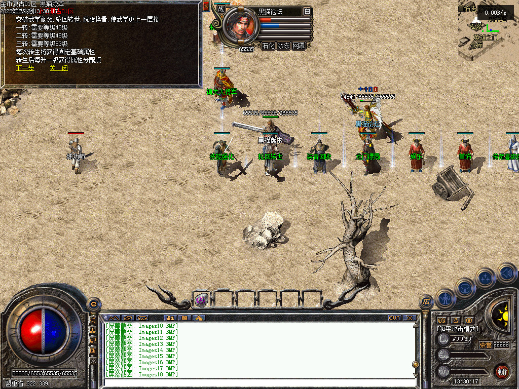 Images19.BMP