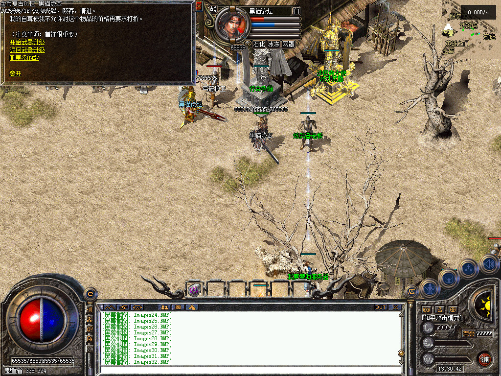 Images33.BMP