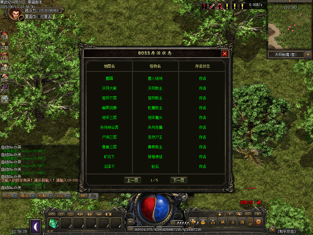 Images23.BMP